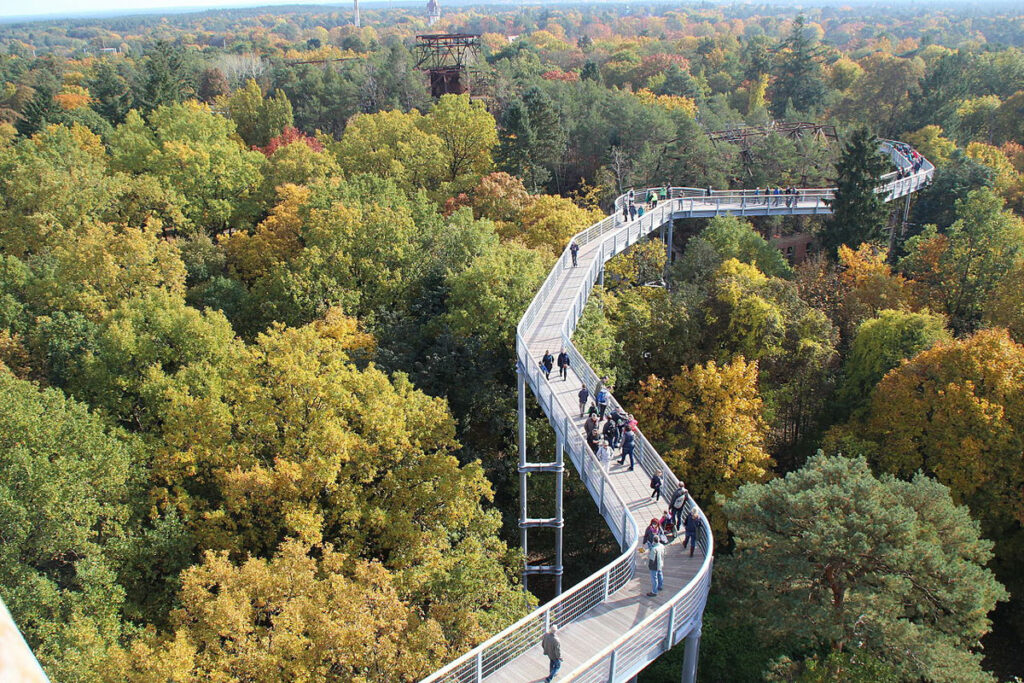 Baumkronenpfad in Beelitz Heilstätten
