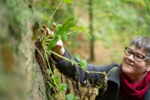 Britt-Muschert-Hollerhof-Kräuterwanderungen