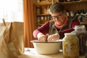 Wildkraeuter-waldtherapie-hollerhof-17